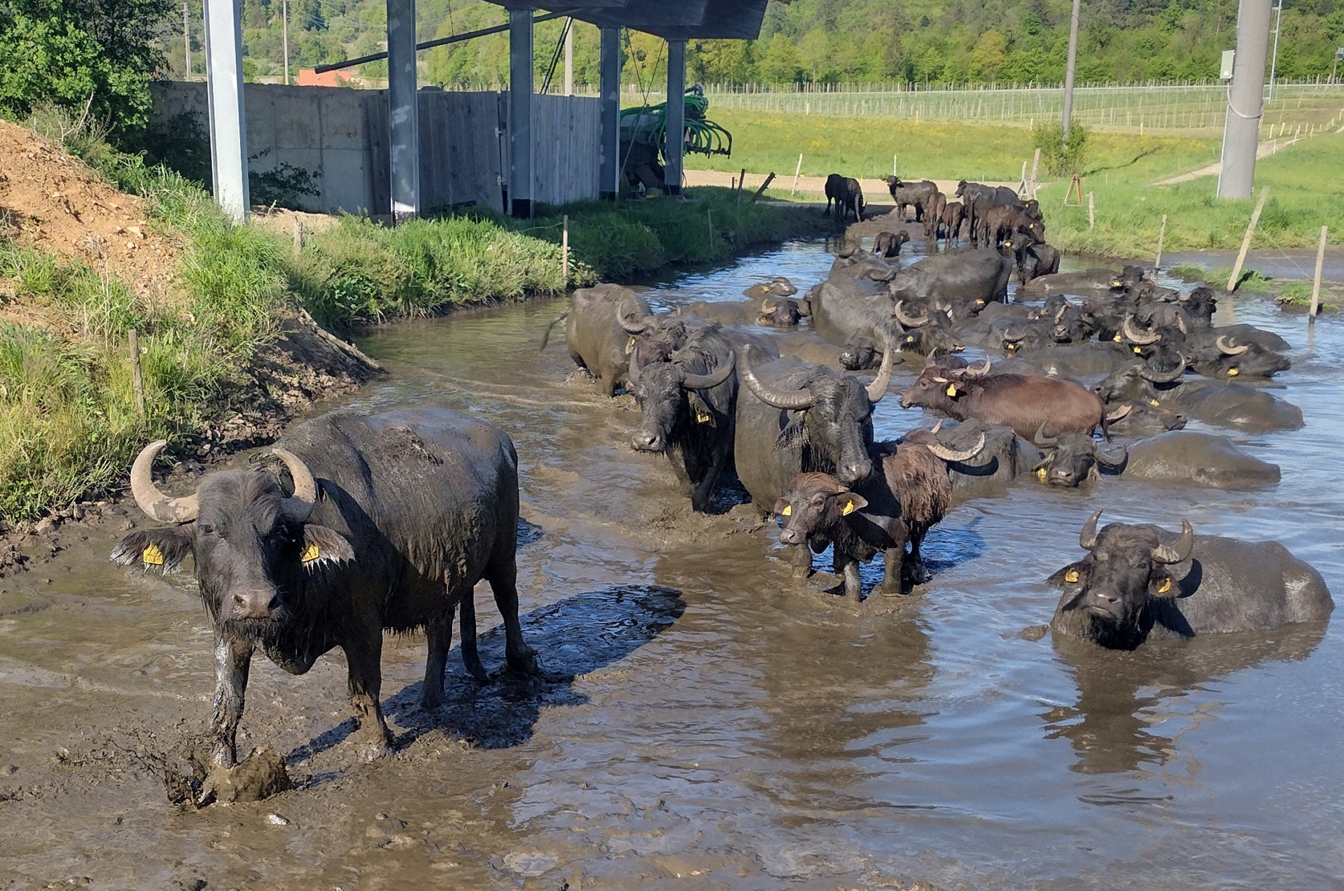 Image default