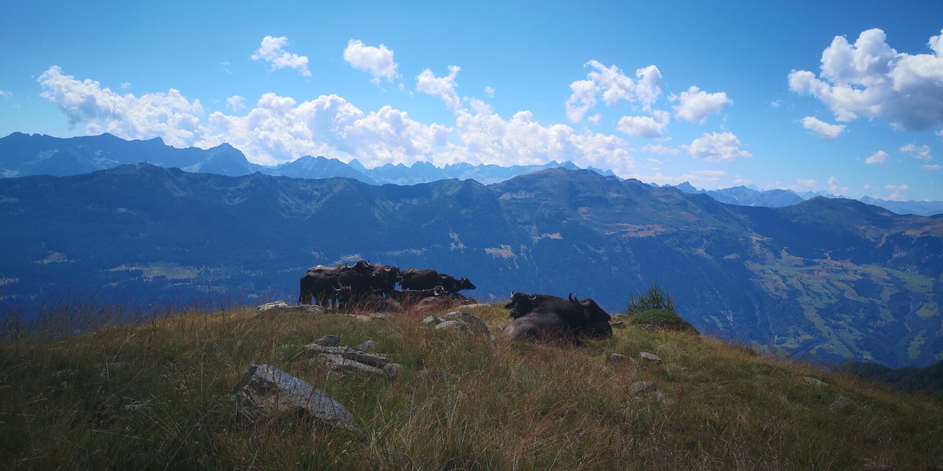 Image default